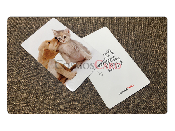 [포토카드] 동물카드<br>이미지카드 / 재전사카드 / 선물카드